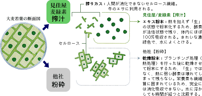 唞t̒fʐ}