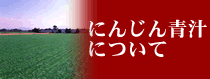 ɂ񂶂`