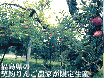 񂲔_